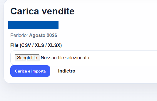 Caricamento dati di vendita e analisi AI