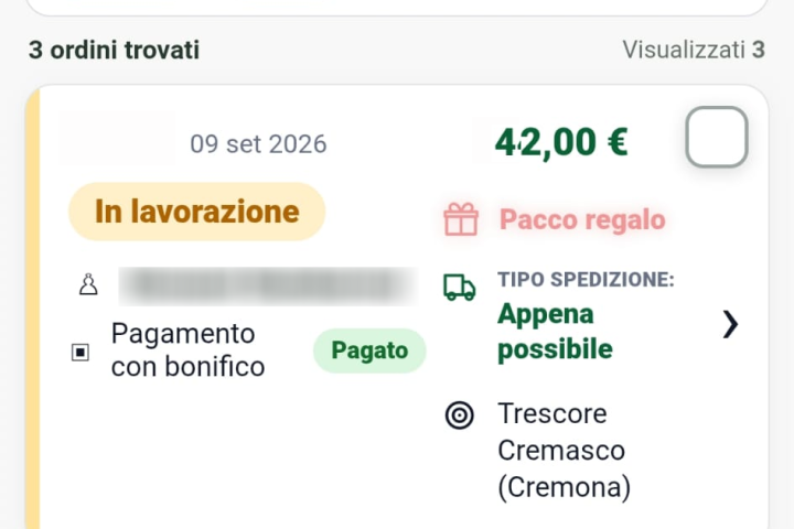 WebApp ordini per E-commerce: gestione rapida da smartphone